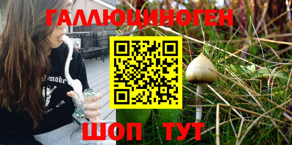 Галлюциногенные грибы GOLDEN TEACHER Новошахтинск