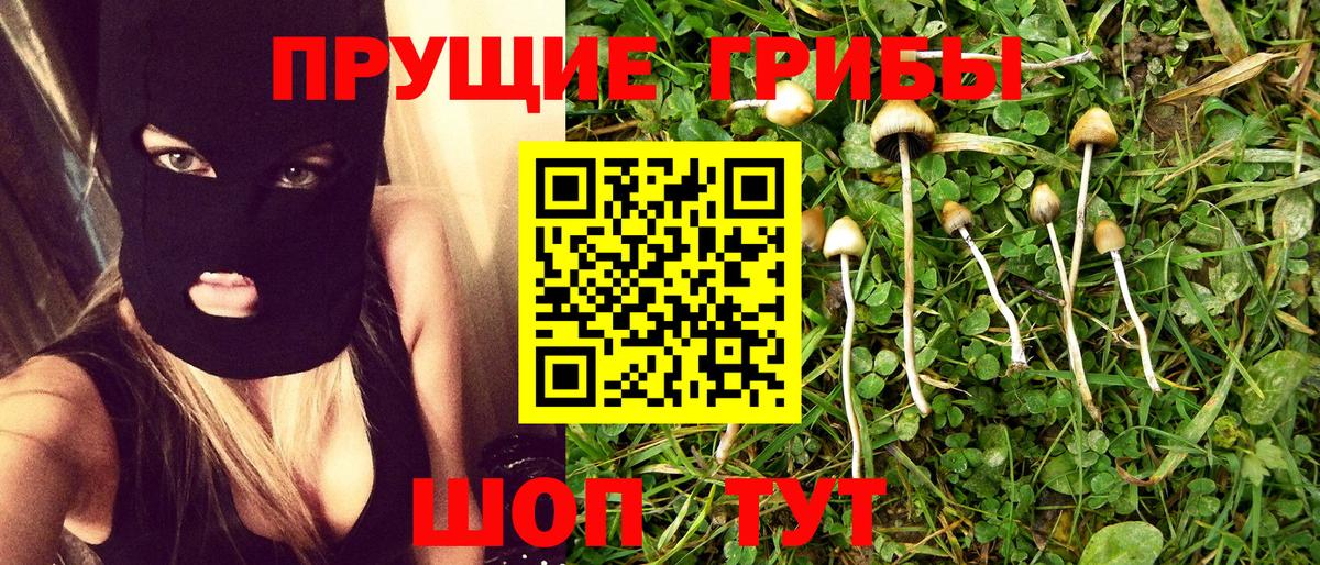 Галлюциногенные грибы Psilocybine cubensis  Вход с VPN  Новошахтинск  Псилоцибиновые грибы Magic Shrooms 
